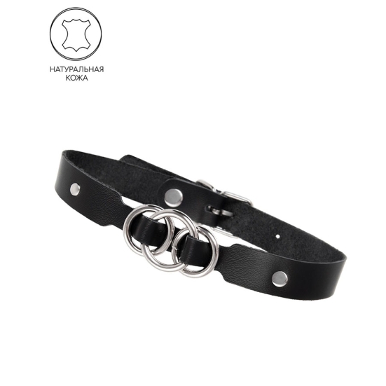 Ошейник Pecado 03119